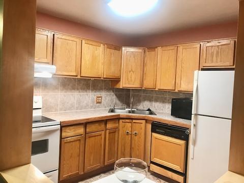 1203 Pleasant Run Dr #111, Wheeling, IL 60090 photo 14