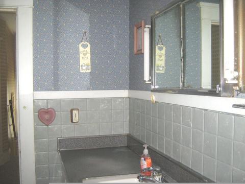 803 E 3rd St, Dixon, IL 61021 photo 22