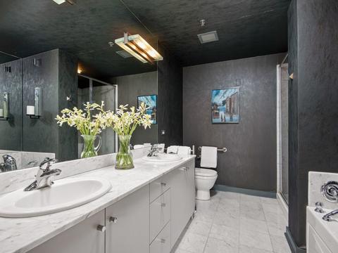 250 E Pearson St #702, Chicago, IL 60611 photo 17