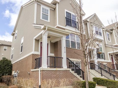 210 Laurel Ave, Des Plaines, IL 60016 photo 1