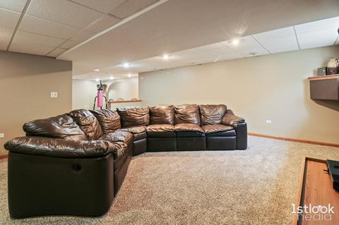13152 Blackstone Ln, Plainfield, IL 60585 photo 20