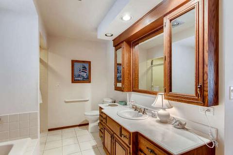 260 Spring Cove Dr, Elgin, IL 60123 photo 15