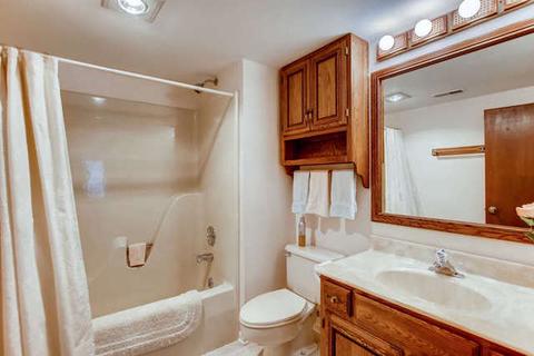 260 Spring Cove Dr, Elgin, IL 60123 photo 21