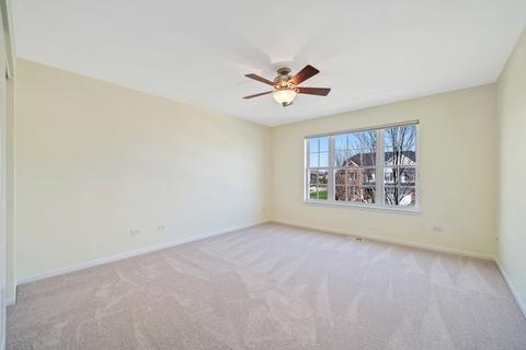 26537 Rustling Birch Way, Plainfield, IL 60585 photo 29