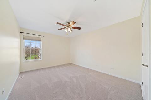 26537 Rustling Birch Way, Plainfield, IL 60585 photo 33