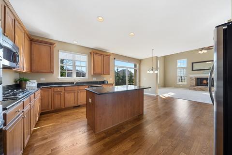 26537 Rustling Birch Way, Plainfield, IL 60585 photo 16