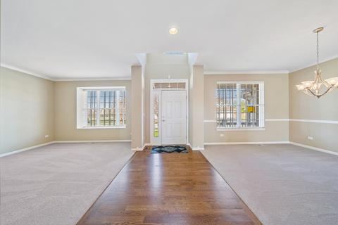 26537 Rustling Birch Way, Plainfield, IL 60585 photo 3