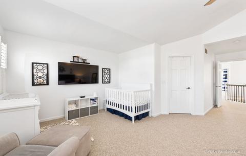 1307 Filly Ln, Bartlett, IL 60103 photo 27