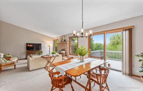 1610 Farmhill Dr, Algonquin, IL 60102 photo 8