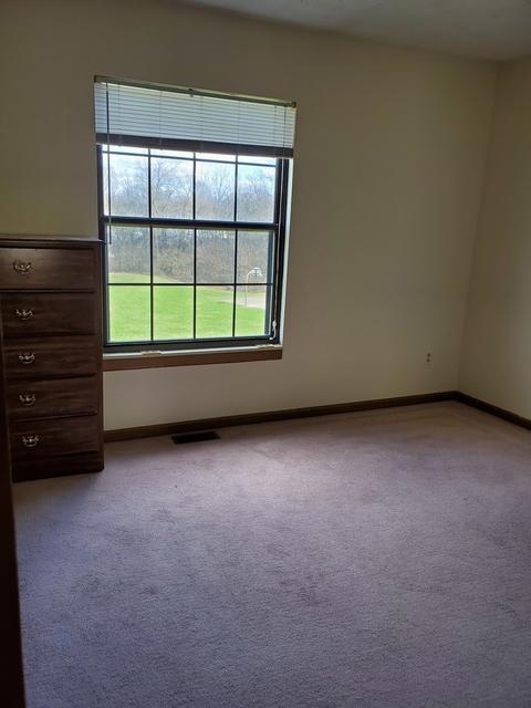 700 N Adelaide St #49, Normal, IL 61761 photo 10