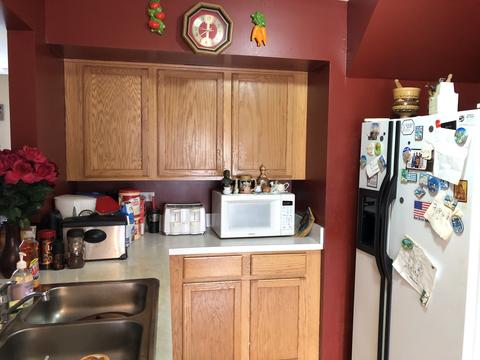 1013 Symphony Dr, Aurora, IL 60504 photo 18