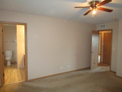 3216 Veronica St, Plano, IL 60545 photo 21