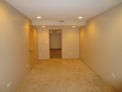 3216 Veronica St, Plano, IL 60545 photo 29
