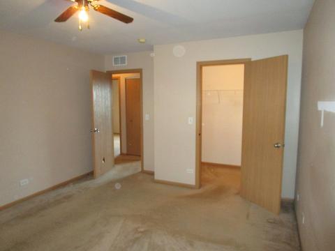 3216 Veronica St, Plano, IL 60545 photo 22