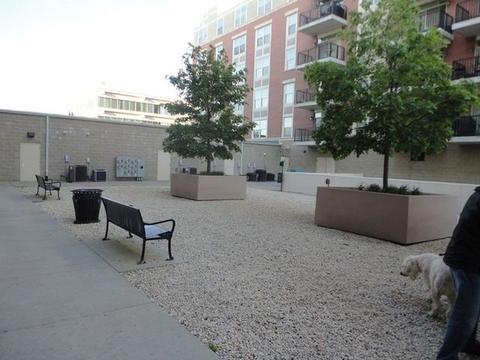 656 Pearson St #312C, Des Plaines, IL 60016 photo 23