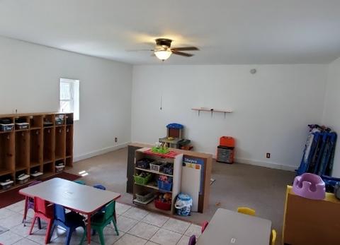 529 Mitchell St, Braidwood, IL 60408 photo 24