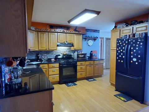 529 Mitchell St, Braidwood, IL 60408 photo 10