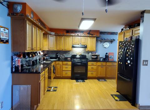 529 Mitchell St, Braidwood, IL 60408 photo 9