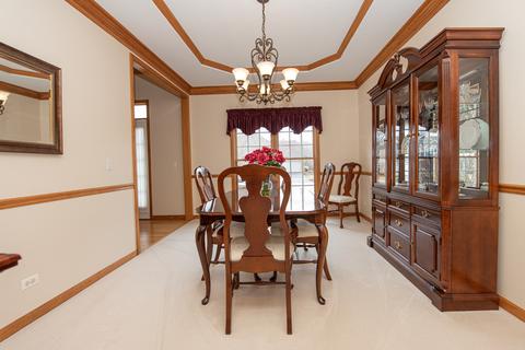 15238 Dan Patch Dr, Plainfield, IL 60544 photo 14