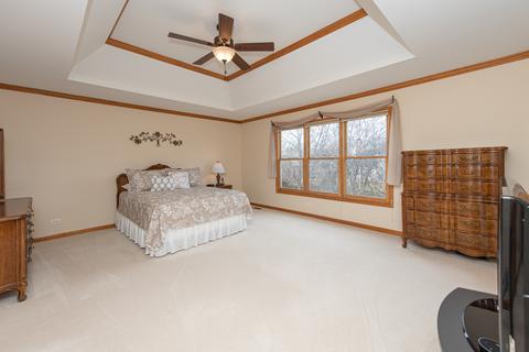 15238 Dan Patch Dr, Plainfield, IL 60544 photo 32