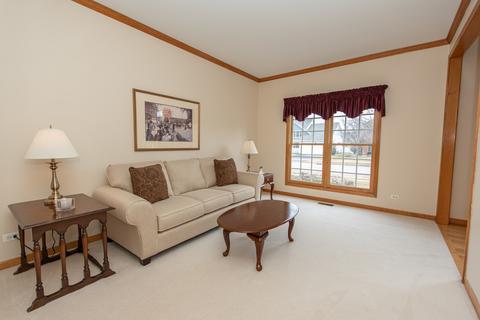 15238 Dan Patch Dr, Plainfield, IL 60544 photo 12
