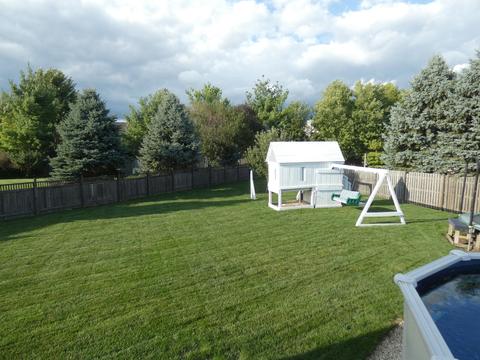 13101 Evon St, Plainfield, IL 60585 photo 30