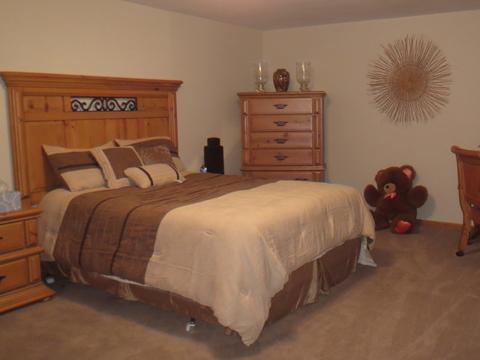 23200 S Ford Rd, Minooka, IL 60447 photo 18