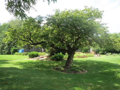 23200 S Ford Rd, Minooka, IL 60447 photo 35