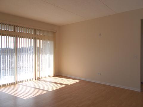 511 Prestwick Ln #308, Wheeling, IL 60090 photo 5
