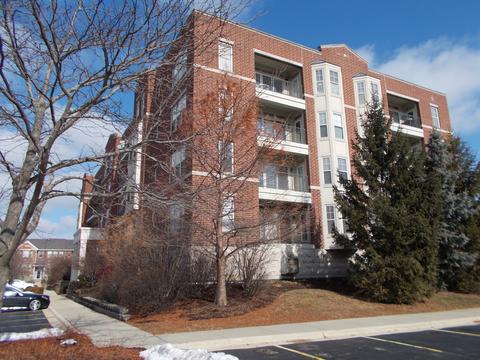 511 Prestwick Ln #308, Wheeling, IL 60090 photo 20