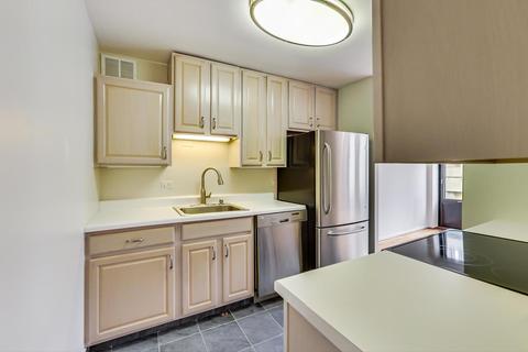 100 E Walton St #16F, Chicago, IL 60611 photo 24