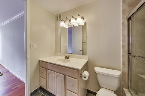 100 E Walton St #16F, Chicago, IL 60611 photo 34