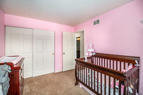 316 Bishop Ct, Bartlett, IL 60103 photo 19