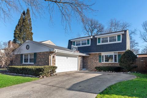 135 Berkshire Dr, Wheeling, IL 60090 photo 1