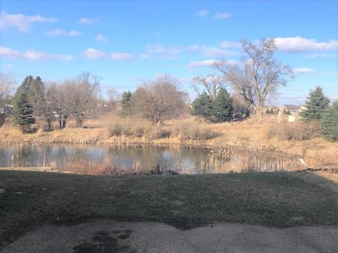 3702 Middleton Ct, Elgin, IL 60124 photo 3