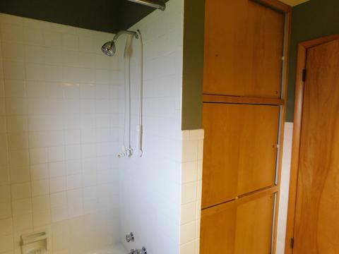 420 W Hack St, Cullom, IL 60929 photo 20
