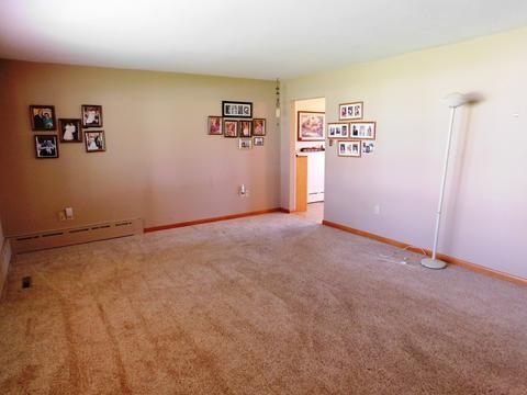 420 W Hack St, Cullom, IL 60929 photo 5
