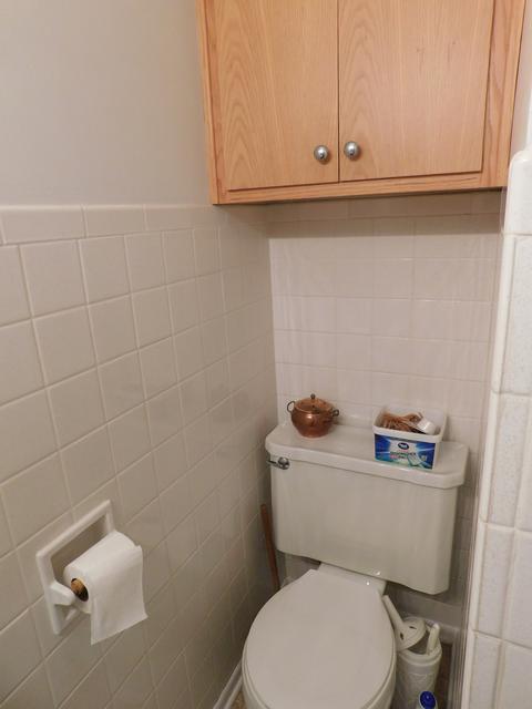 420 W Hack St, Cullom, IL 60929 photo 12