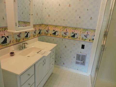 718 York Ct, Northbrook, IL 60062 photo 19
