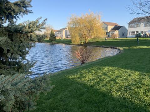 1614 Lake Pointe Ct, Plainfield, IL 60544 photo 15
