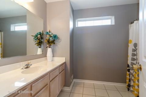 8557 Scheer Dr, Tinley Park, IL 60477 photo 13