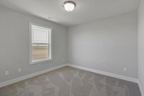 1008 Declaration Dr, Savoy, IL 61874 photo 20