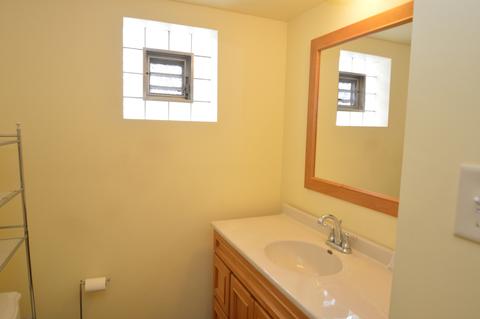 4132 Amelia Ave, Lyons, IL 60534 photo 25
