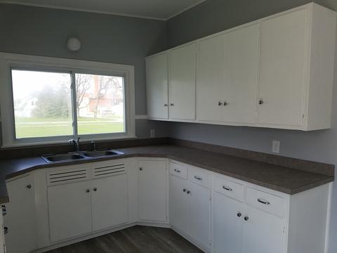 313 2nd St, Minonk, IL 61760 photo 7
