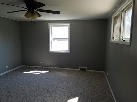 313 2nd St, Minonk, IL 61760 photo 11