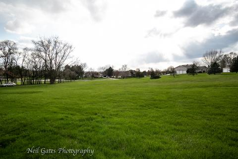 3320 E Reichert Dr, Crete, IL 60417 photo 46