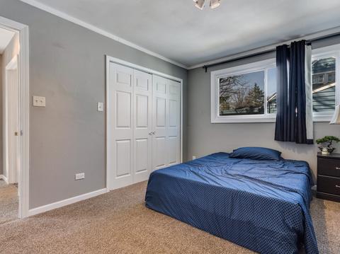 20618 Greenwood Dr, Olympia Fields, IL 60461 photo 14