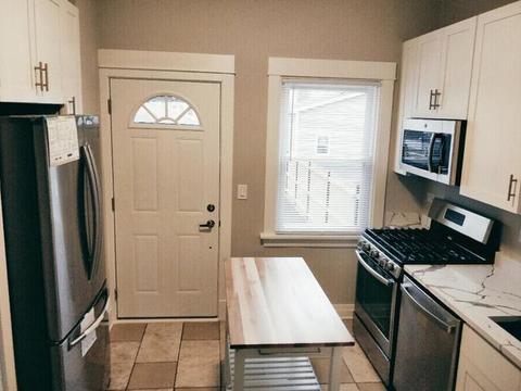 904 N Lorel Ave, Chicago, IL 60651 photo 10