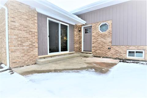 20307 Achilles Ave, Olympia Fields, IL 60461 photo 39