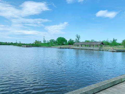 3199 Coral Ln, Glenview, IL 60026 photo 19